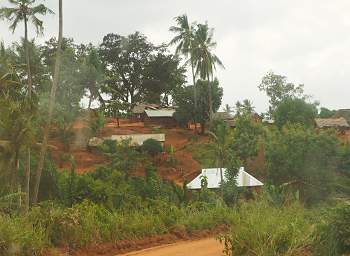 Rural Houses