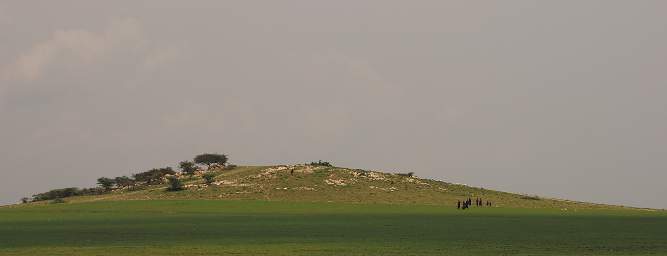 Plains around Oldupai Gorge