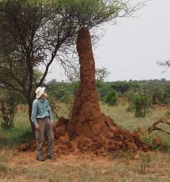 Tarangire NP Termite Mound Gary