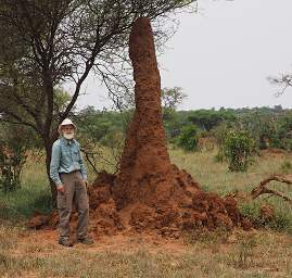 Tarangire NP Termite Mound Gary