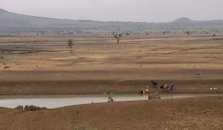 Masai Steppe