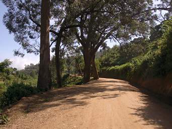 Usambara Mts Plains Road