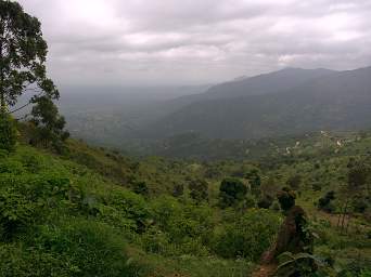 Usambara Mts Plains Road Down