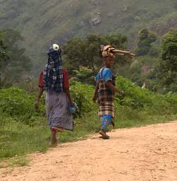 Usambara Mountains