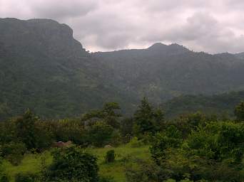 Usambara Mts Plains