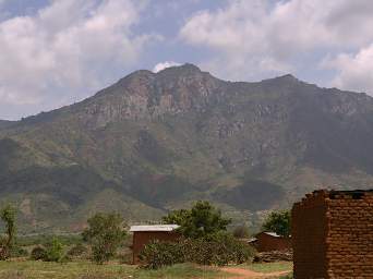 Usambara Mts Plains Mambo View Pt