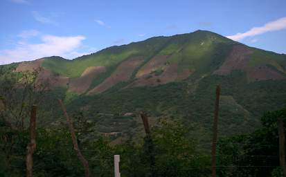 Hillside Cultivation