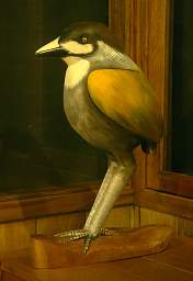Casa Simpson Jocotoco Ant Pitta Carving