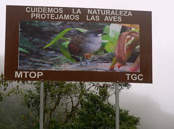 Casa Simpson Antpitta Sign