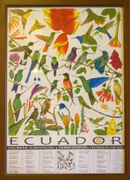 Bird and Flower Poster