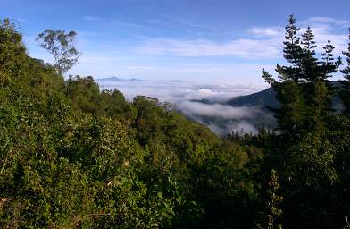 Jorupe Clouds