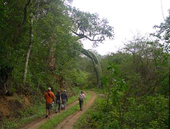 Urraca Group