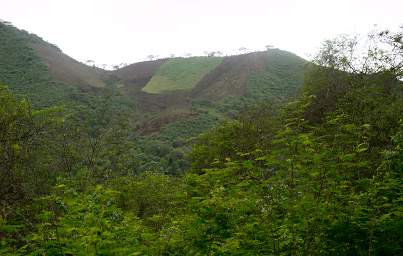 Urraca Cultivated Hillside