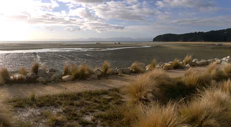 Abel Tas Tidal Flat