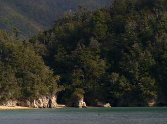 Abel Tas Torrent Bay