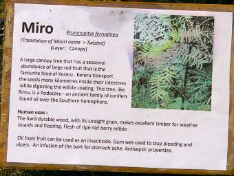 Whanganui R Bushy Park Miro Sign
