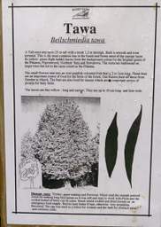 Whanganui R Bushy Park Tawa Sign
