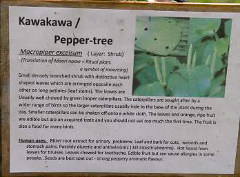 Whanganui R Bushy Park Pepper Tree Kawakawa Sign
