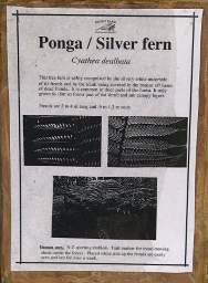 Whanganui R Bushy Park Silver Fern Ponga Sign
