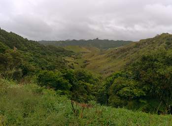 Whanganui R Rd To Tongariro