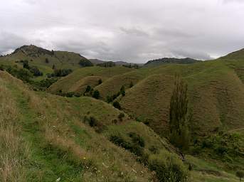 Whanganui R Forgotten World Highway