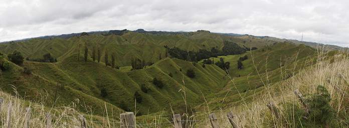 Whanganui R Forgotten World Highway