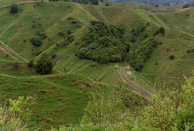 Whanganui R Forgotten World Highway Tracks