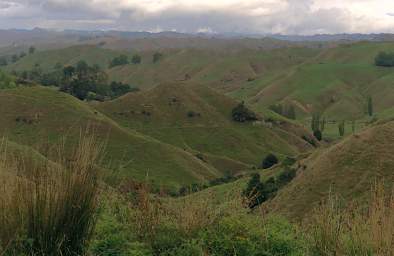 Whanganui R Forgotten World Highway