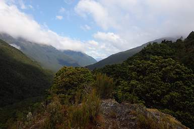 Alps Haast Pass Hike