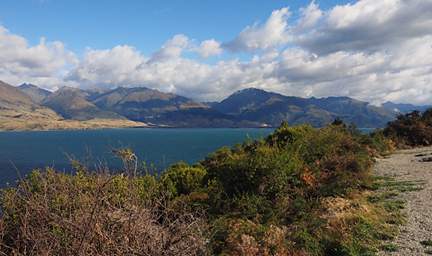 Alps Lk Hawea