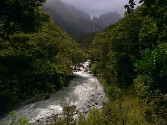 Alps Rob Roy Glacier Creek