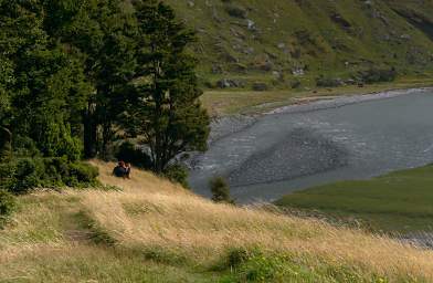 Alps Hiker Matukituki R