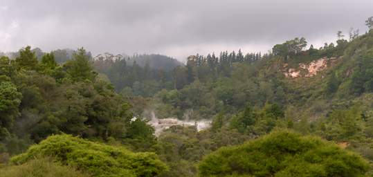 Rotorua Whakarewarewa Hot Spring