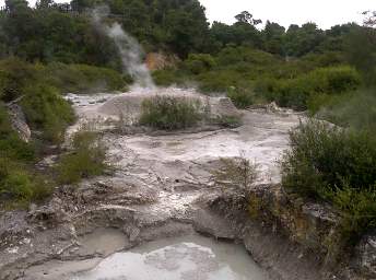 Rotorua Whakarewarewa Mud Pots