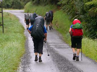 Stewart Is Old Backpackers