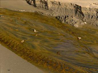 Stewart Is Ulva Is Water Sand