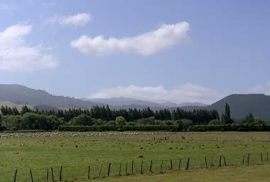 Otago RT Nr Dunedin