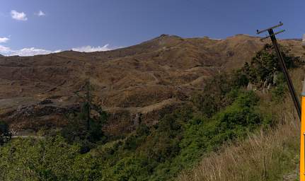 Otago RT Clearcut