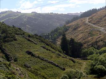 Otago RT UTurn Trestle