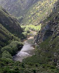 Otago RT Taieri Gorge