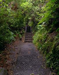 Tongariro Trail Steps