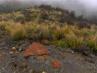 Tongariro Orange Rocks