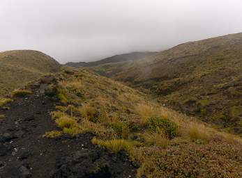 Tongariro