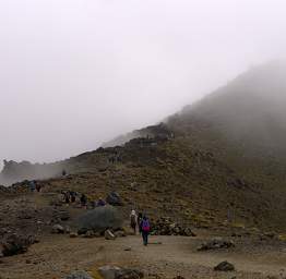 Tongariro People