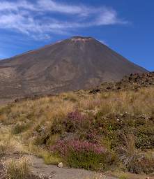 Tongariro Mt Ngauruhoe Heather