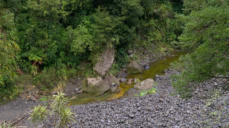 Tongariro Stream