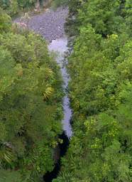 Tongariro Stream