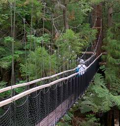 Tree Walk