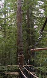 Tree Walk Platform And Straps