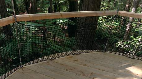 Tree Walk Platform Net